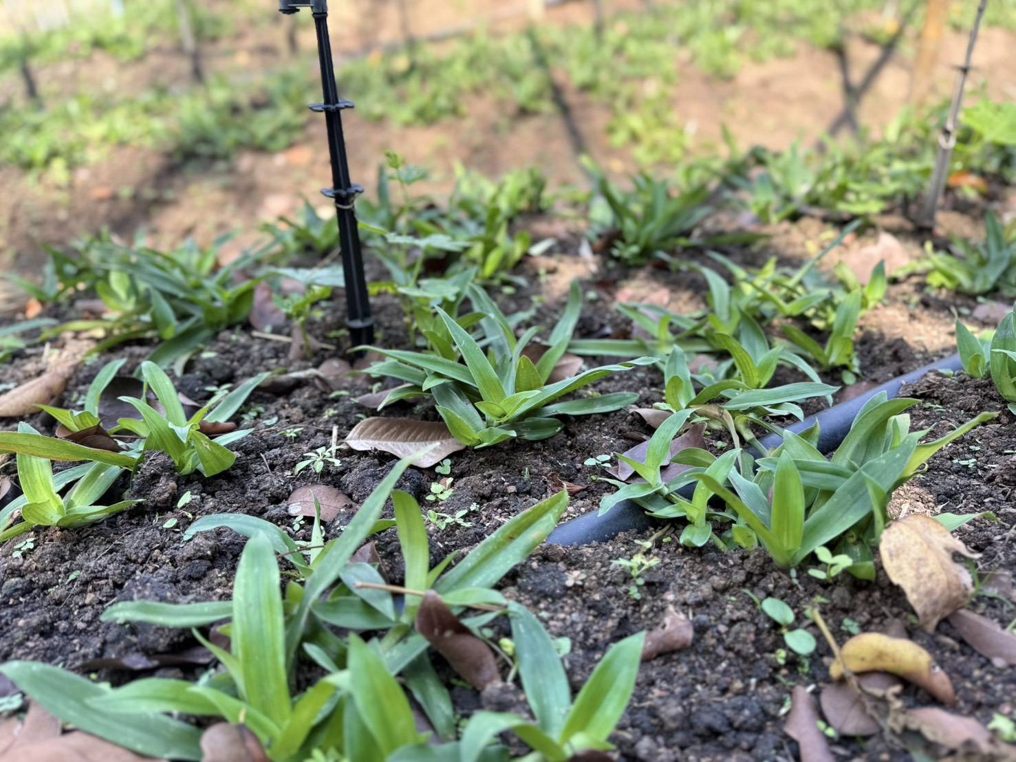 title - ผู้ตรวจราชการ ส.ป.ก. ประชุมตรวจราชการและติดตามความก้าวหน้าผลการดำเนินงานตามแผนการตรวจราชการของผู้ตรวจราชการสำนักงานการปฏิรูปที่ดินเพื่อเกษตรกรรม ประจำปีงบประมาณ พ.ศ. 2569 รอบที่ 1 เขตตรวจราชการที่ 9 จังหวัดปราจีนบุรี